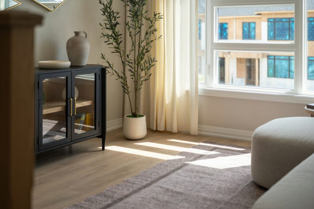 A black cabinet with glass doors beside a potted olive tree in a living room